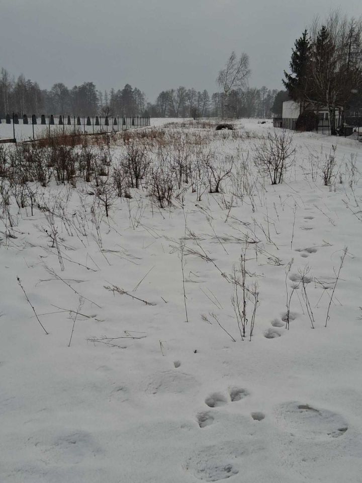 Działka budowlana Pogorzel. Zdjęcie 1