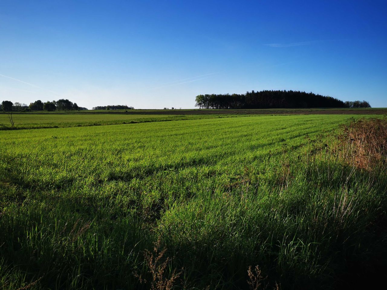Działka budowlana Górka. Zdjęcie 3