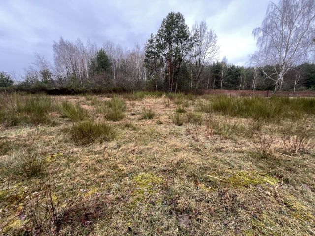 Działka budowlana Wilczanka. Zdjęcie 1