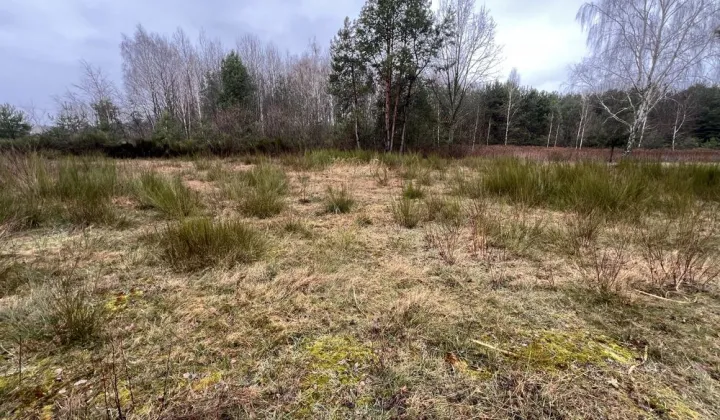 Działka budowlana Wilczanka