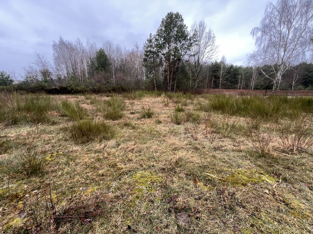 Działka budowlana Wilczanka. Zdjęcie 1