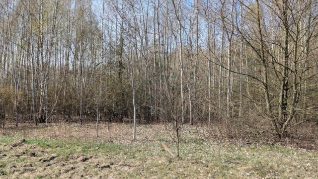 Działka budowlana Kotorydz. Zdjęcie 5