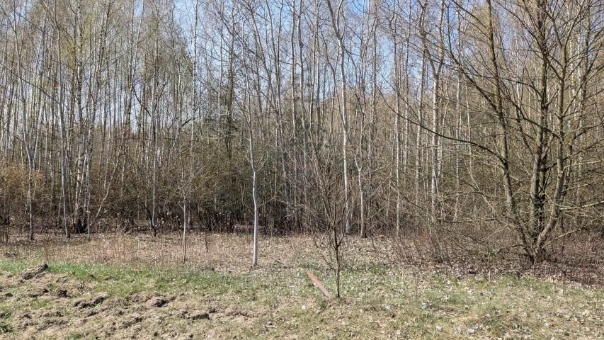 Działka budowlana Kotorydz. Zdjęcie 5