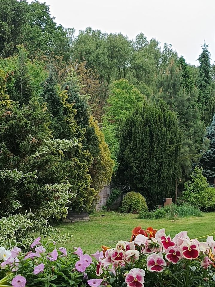 dom wolnostojący, 5 pokoi Myszków, asfaltowa. Zdjęcie 7