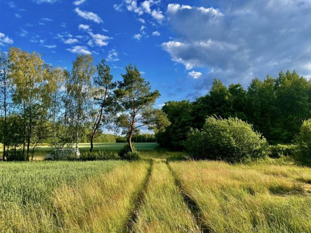 Działka siedliskowa Karnice. Zdjęcie 1