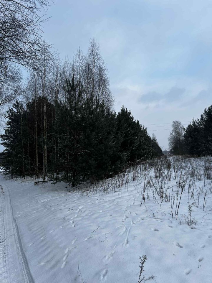 Działka budowlana Modrzew. Zdjęcie 3