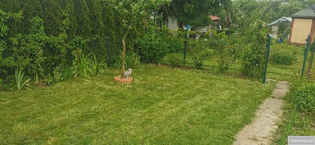 Działka rod Konieczki. Zdjęcie 1