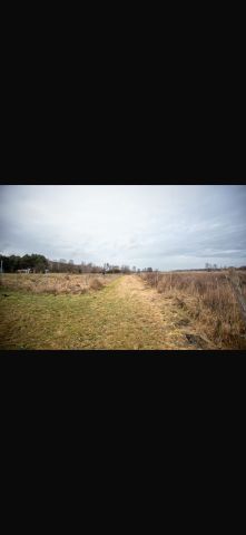 Działka siedliskowa Pleśno. Zdjęcie 1