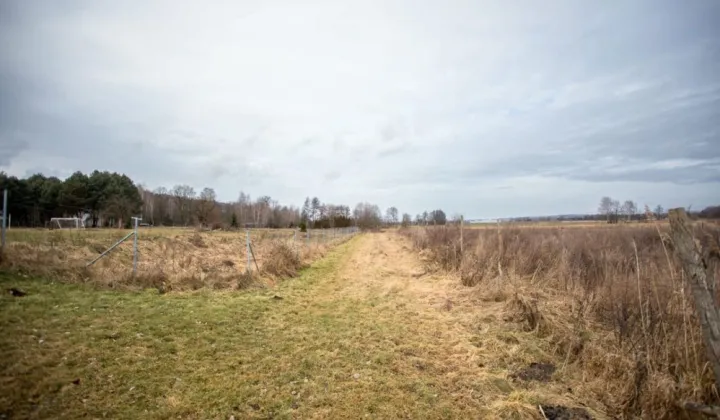 Działka siedliskowa Pleśno