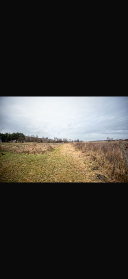 Działka siedliskowa Pleśno. Zdjęcie 1