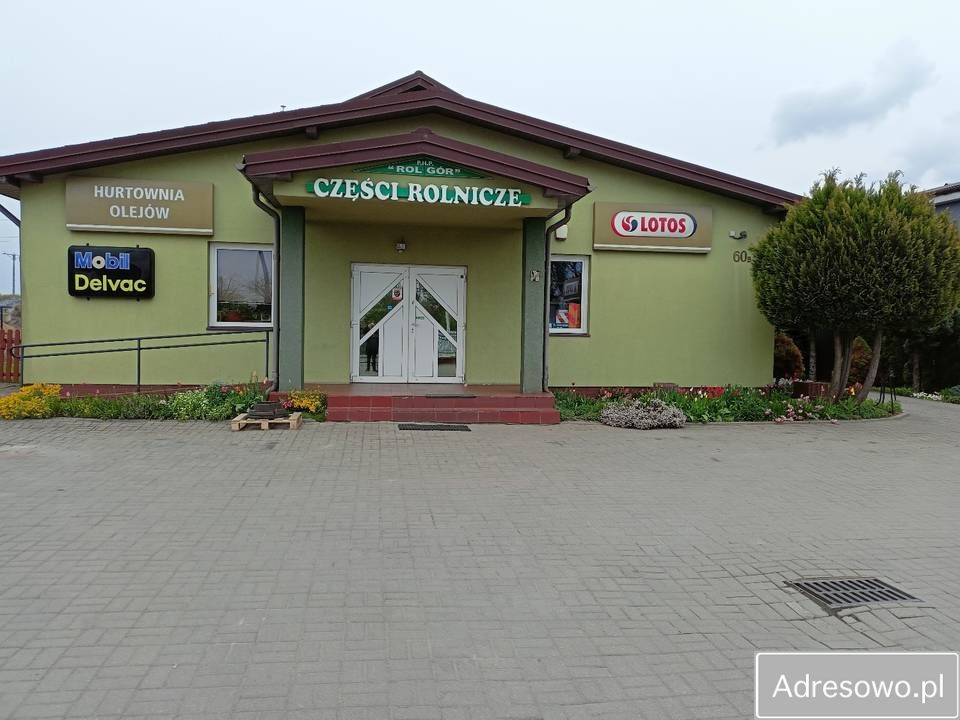 Lokal Płock. Zdjęcie 1