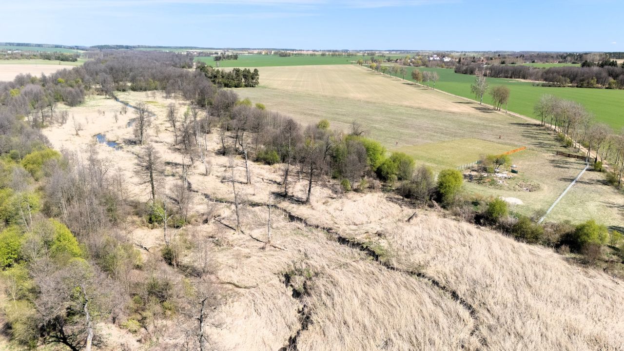 Działka rolno-budowlana Wierzbowo. Zdjęcie 6