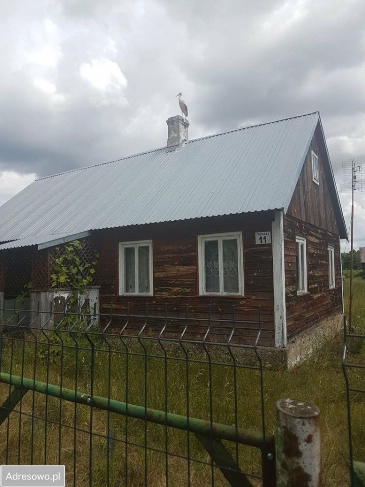 Działka siedliskowa Zubacze. Zdjęcie 1