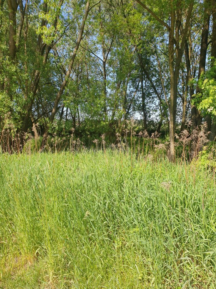 Działka rekreacyjna Zabierzów, ul. Nad Wodą. Zdjęcie 9