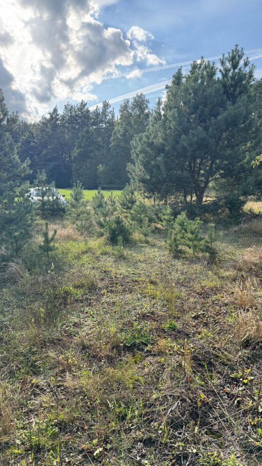 Działka rolno-budowlana Ruda. Zdjęcie 1