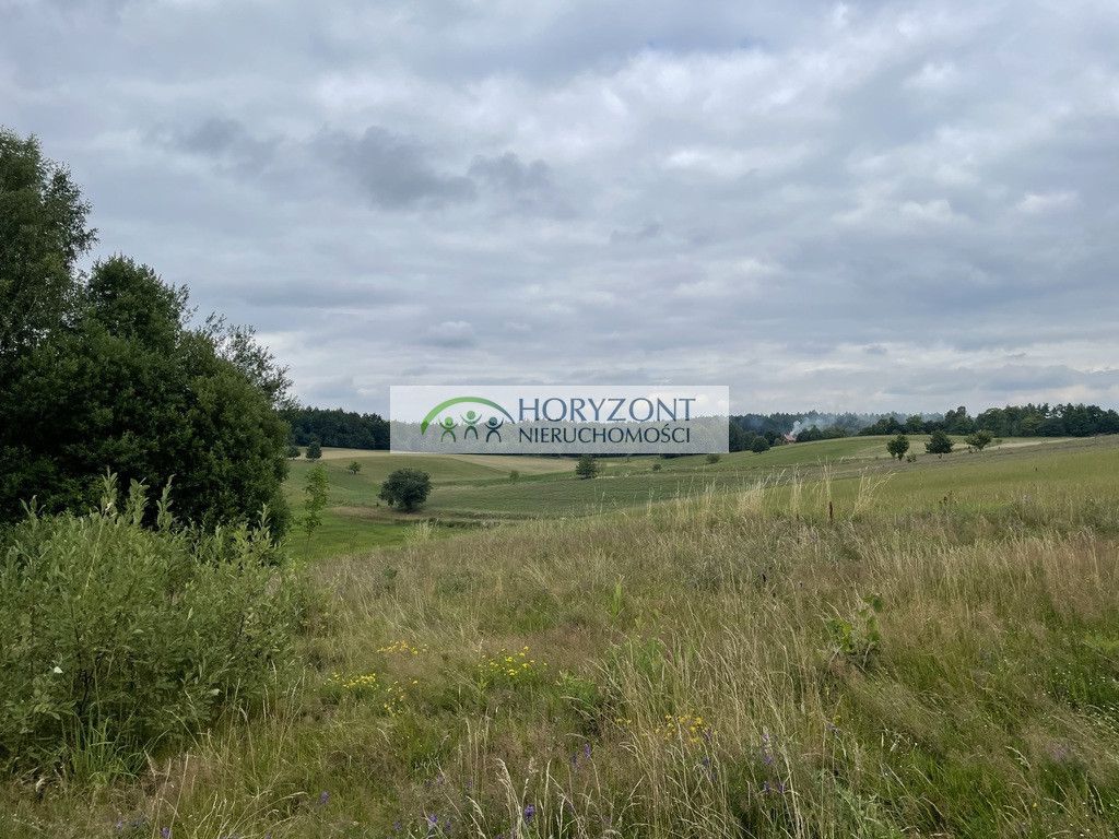 Działka Nowa Wieś Przywidzka. Zdjęcie 3