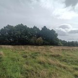 Działka budowlana Wierzbna, ul. Kwiatowa. Zdjęcie 3