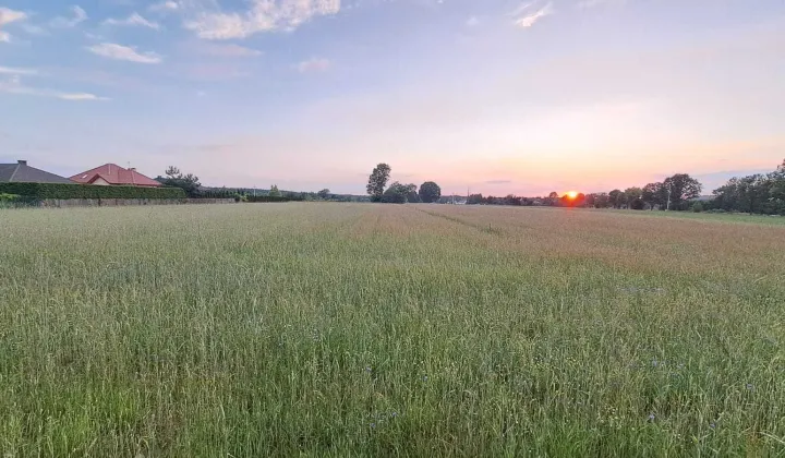 Działka budowlana Nowy Adamów