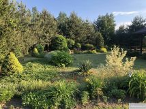 dom wolnostojący, 3 pokoje Popów-Kolonia. Zdjęcie 2