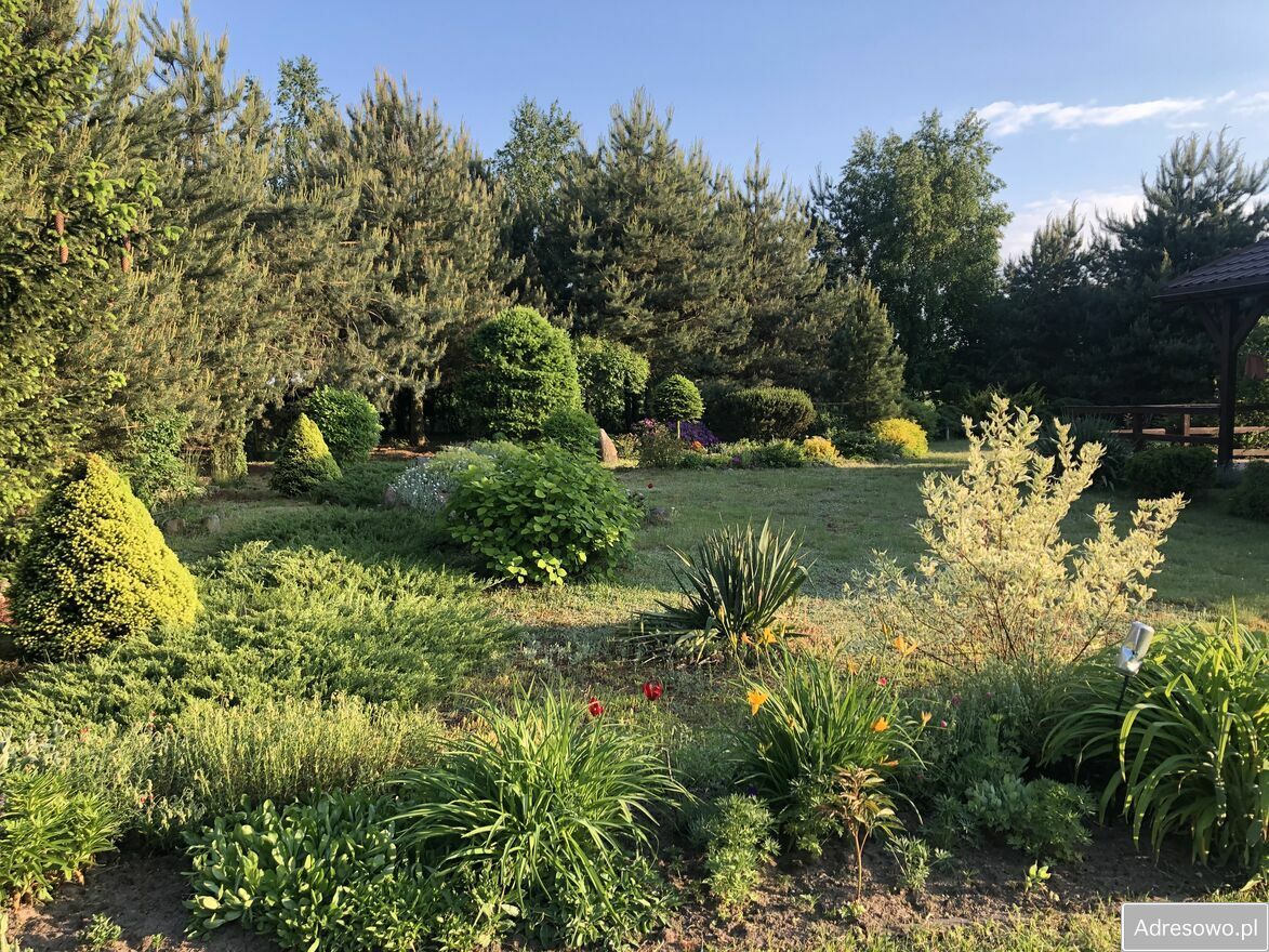 dom wolnostojący, 3 pokoje Popów-Kolonia. Zdjęcie 3