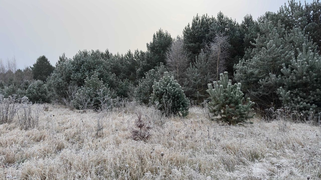 Działka rolna Steklno. Zdjęcie 6