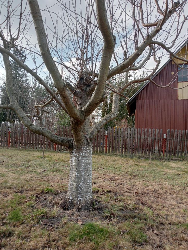 Działka rod Mszczonów, ul. Działkowa. Zdjęcie 18