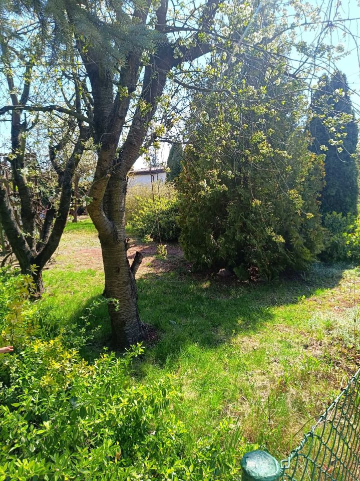 Działka rod Jaryszki. Zdjęcie 4