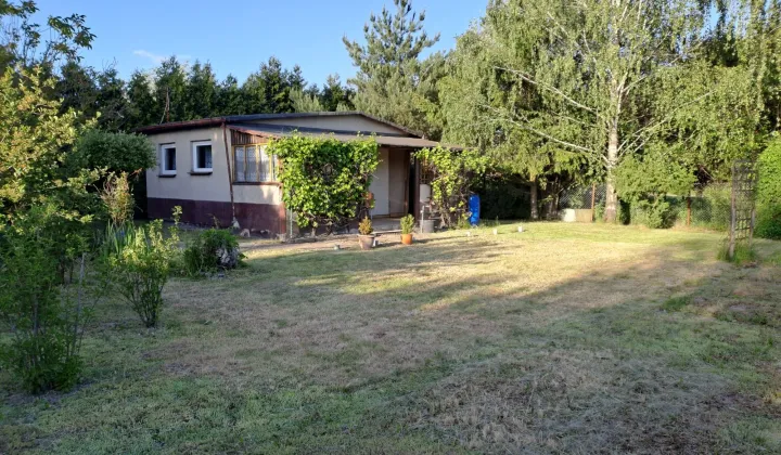 Działka rod Piotrków Trybunalski, ul. Wronia
