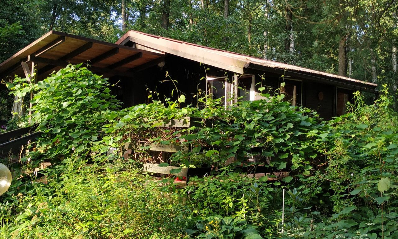 dom letniskowy Rydzynki, ul. Tęczowa