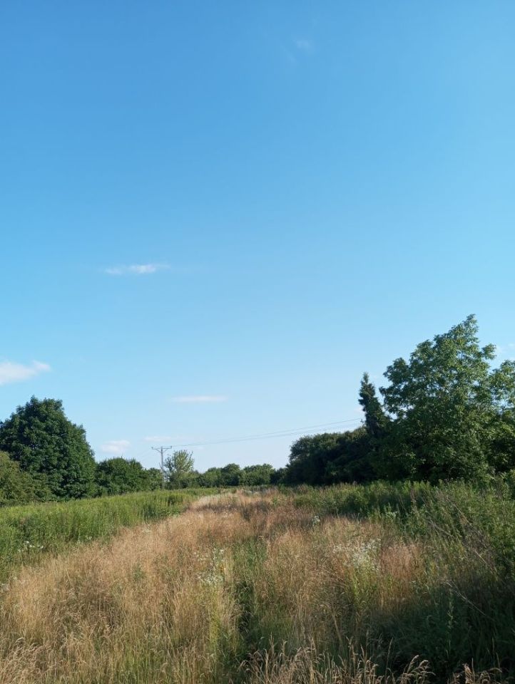 Działka rolna Puławy Włostowice, ul. Polskiej Organizacji Wojskowej. Zdjęcie 4