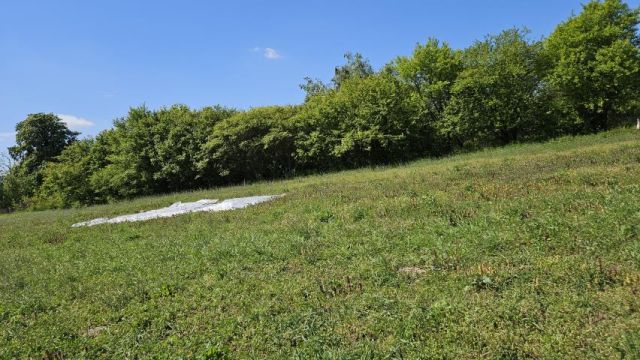 Działka rolna Drochówka. Zdjęcie 2