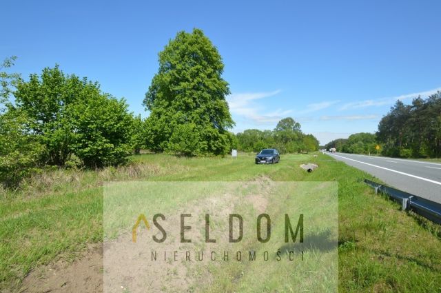 Działka inwestycyjna Grodziec. Zdjęcie 11
