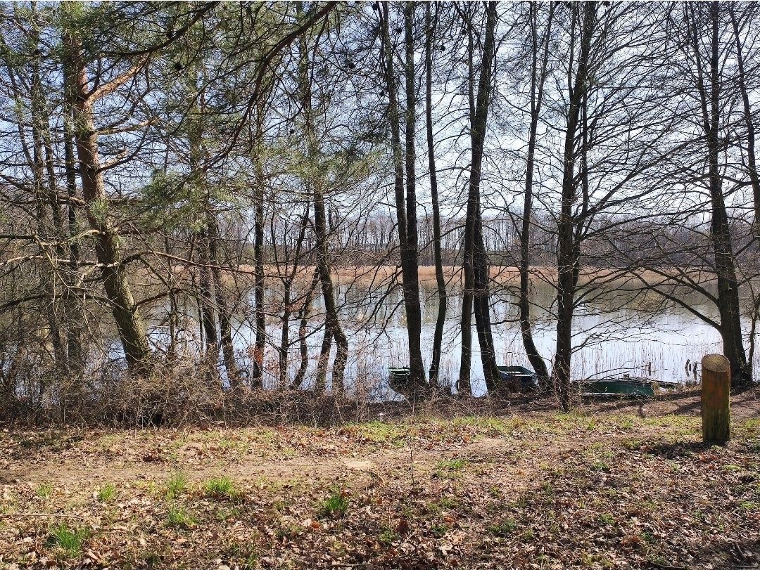 Działka rod Złotów. Zdjęcie 2