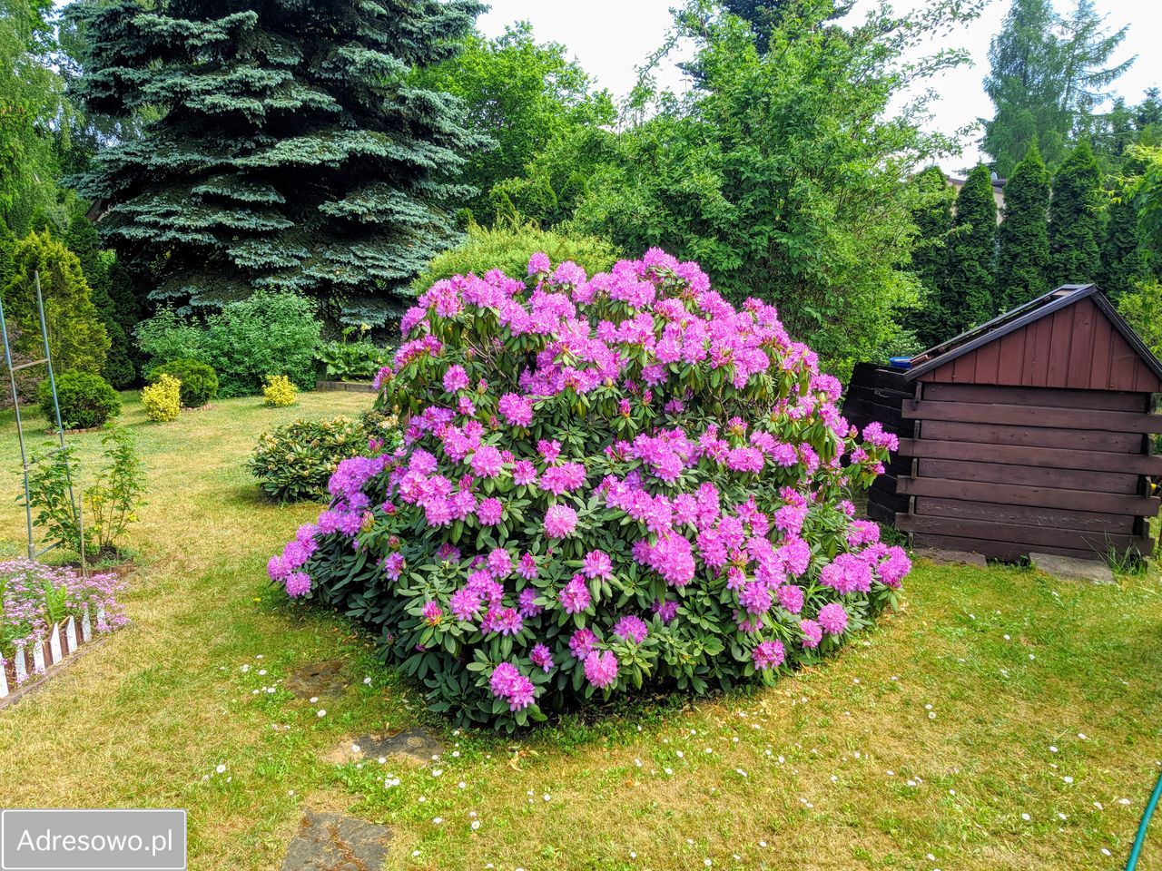 Działka rod Okołowice. Zdjęcie 18