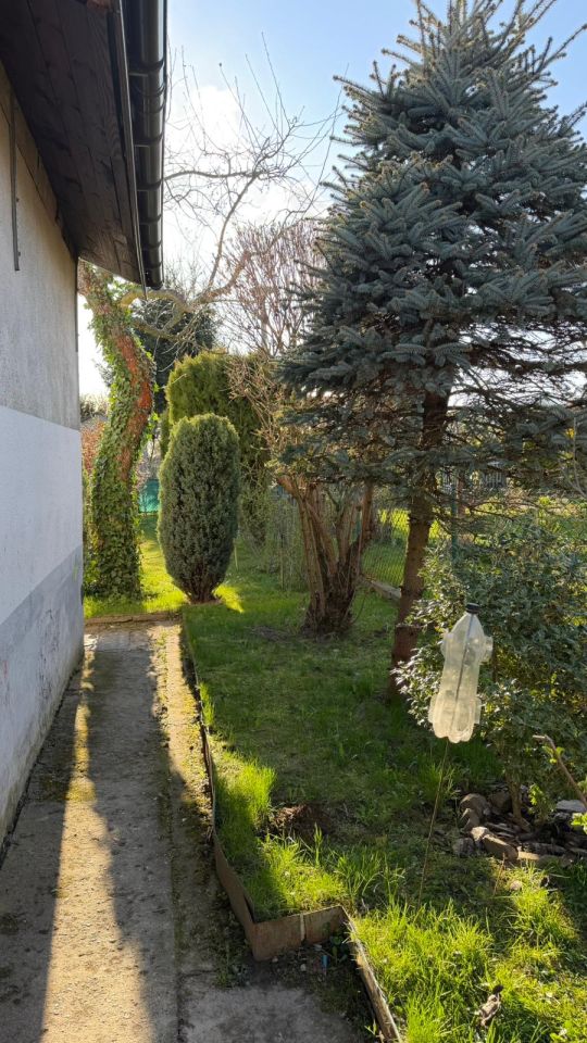 Działka rod Kraków Wzgórza Krzesławickie, Kocmyrzowska 38. Zdjęcie 14