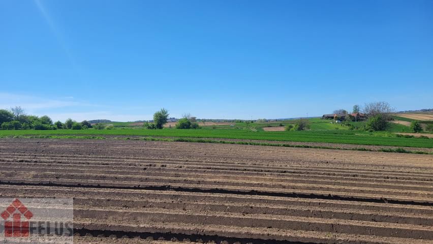 Działka budowlana Proszowice. Zdjęcie 8