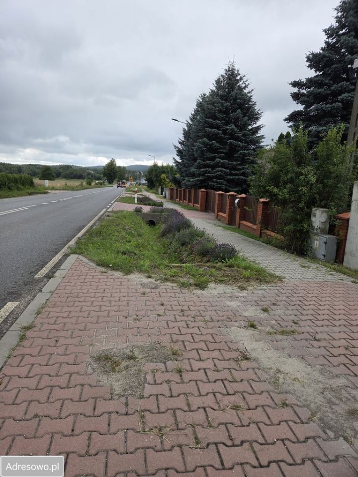 Działka budowlana Piekoszów, ul. Częstochowska. Zdjęcie 6