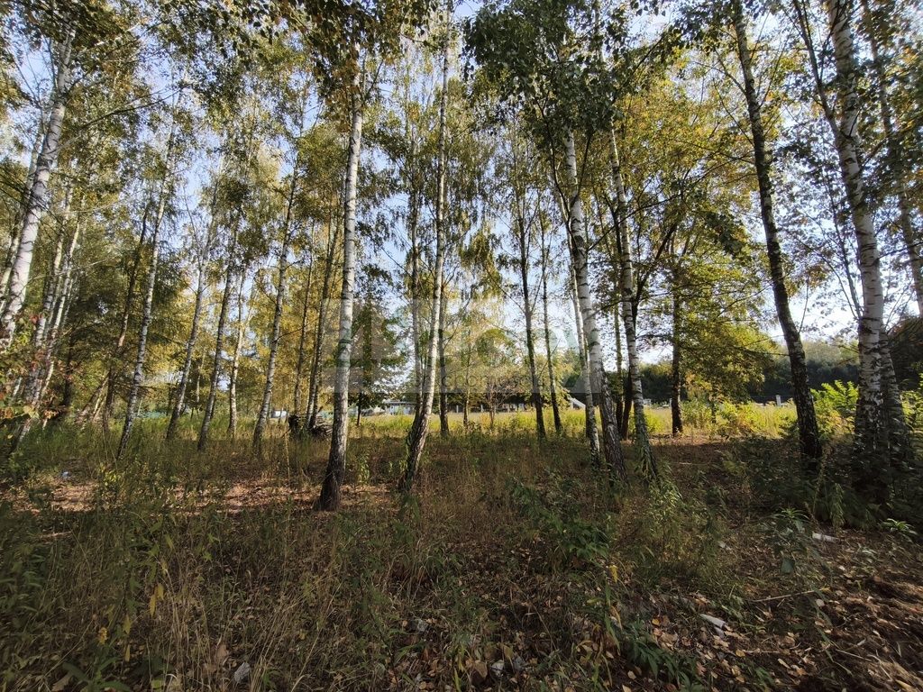 Działka budowlana Kierszek. Zdjęcie 6