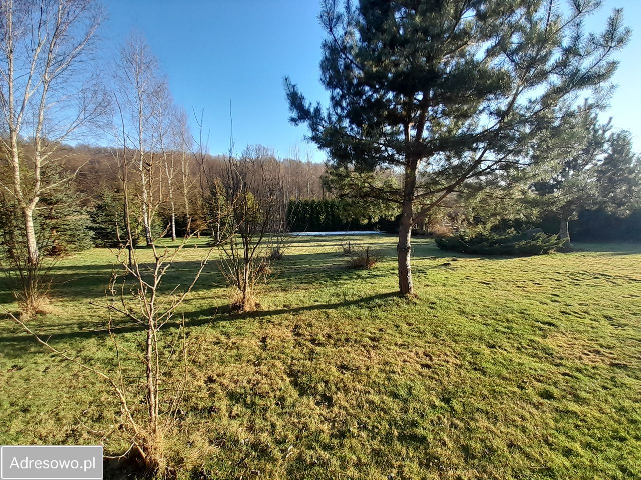 Działka budowlana Głogoczów. Zdjęcie 2