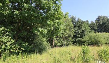 Działka inwestycyjna Bodzanów