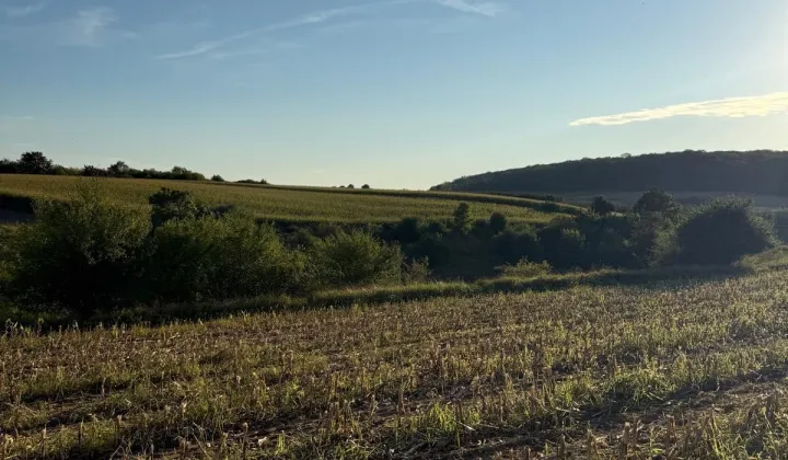 Działka rolna Osiek nad Notecią