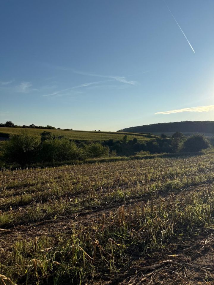 Działka rolna Osiek nad Notecią