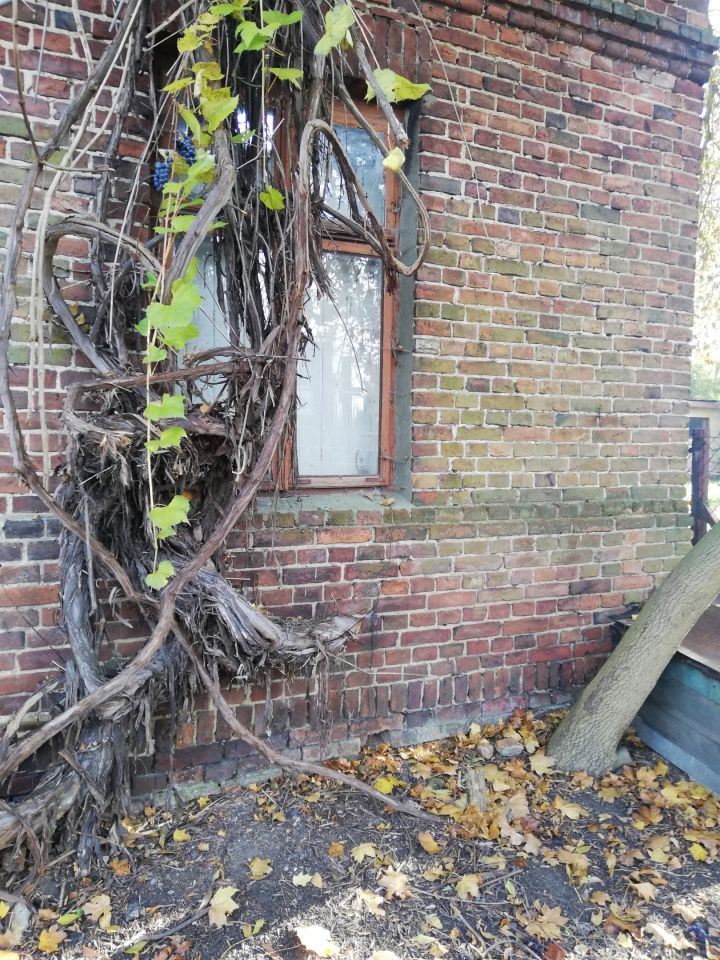 Działka budowlana Radomsko Centrum, ul. Stodolna. Zdjęcie 6