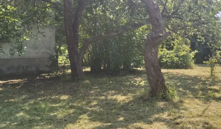 Działka rod Skierniewice