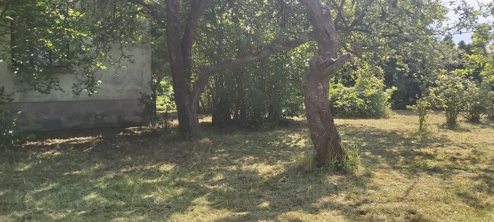 Działka rod Skierniewice. Zdjęcie 1