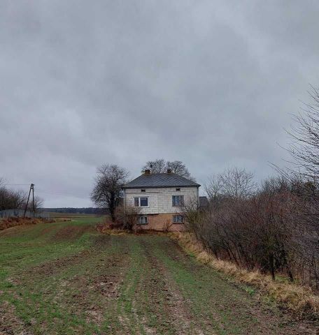 siedlisko Wirkowice Drugie. Zdjęcie 1