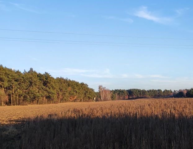 Działka budowlana Legarda. Zdjęcie 1