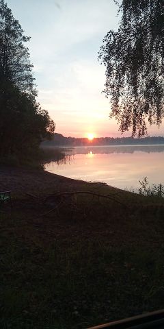 Działka leśna Brajniki. Zdjęcie 1