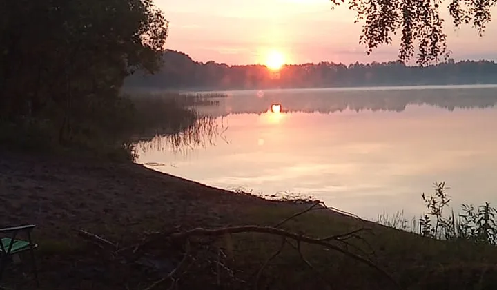 Działka leśna Brajniki