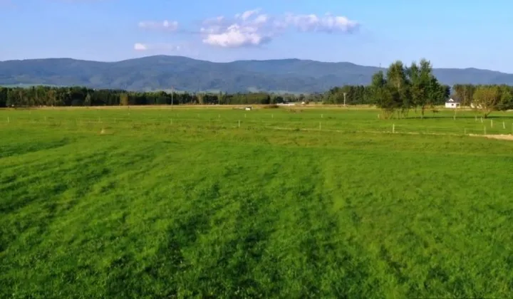 Działka budowlana Bór, ul. Leśna